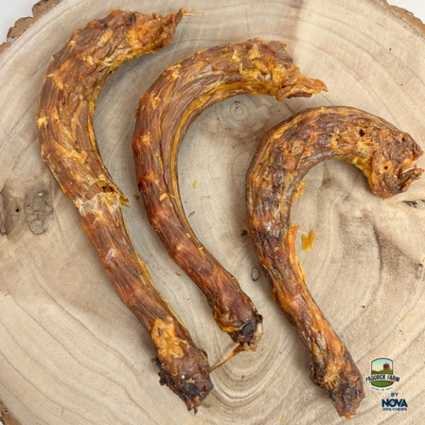 Turkey Necks